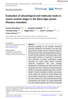 Evaluation of physiological and molecular tools to assess ovarian stages in the black tiger prawn (Penaeus monodon)