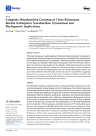 Complete Mitochondrial Genomes of Three Rhinoceros Beetles (Coleoptera: Scarabaeidae: Dynastinae) and Phylogenetic Implications