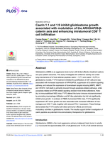 Caerin 1.1 and 1.9 inhibit glioblastoma growth associated with modulation of the ARHGAP26-β-catenin axis and enhancing intratumoral CD8+ T cell infiltration