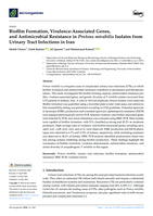 Biofilm Formation, Virulence-Associated Genes, and Antimicrobial Resistance in Proteus mirabilis Isolates from Urinary Tract Infections in Iran