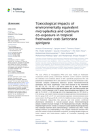 Toxicological impacts of environmentally equivalent microplastics and cadmium co-exposure in tropical freshwater crab Sartoriana spinigera