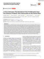 A First Indication That Rainforest Vine Proliferation Does Not Enhance Predator–Prey Interactions on the Forest Floor