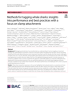 Methods for tagging whale sharks: insights into performance and best practices with a focus on clamp attachments