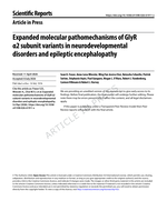 Expanded molecular pathomechanisms of GlyR α2 subunit variants in neurodevelopmental disorders and epileptic encephalopathy