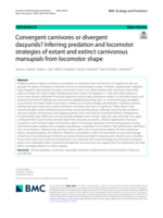 Convergent carnivores or divergent dasyurids? Inferring predation and locomotor strategies of extant and extinct carnivorous marsupials from locomotor shape