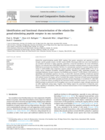 Identification and functional characterisation of the relaxin-like gonad-stimulating peptide receptor in sea cucumbers