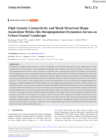 High Genetic Connectivity and Weak Structure Shape Australian White Ibis Metapopulation Dynamics Across an Urban Coastal Landscape