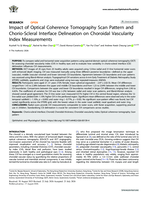 Impact of Optical Coherence Tomography Scan Pattern and Chorio-Scleral Interface Delineation on Choroidal Vascularity Index Measurements