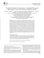The neural correlates of consciousness: A systematic review and meta-analysis of the visual awareness negativity and P3b
