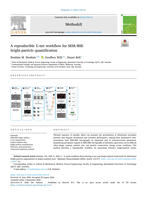 A reproducible U-net workflow for SEM/BSE bright-particle quantification