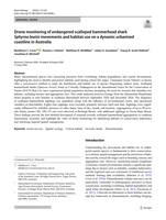 Drone monitoring of endangered scalloped hammerhead shark Sphyrna lewini movements and habitat use on a dynamic urbanised coastline in Australia