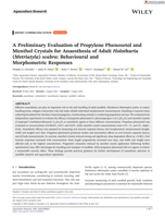 A Preliminary Evaluation of Propylene Phenoxetol and Menthol Crystals for Anaesthesia of Adult Holothuria (Metriatyla) scabra: Behavioural and Morphometric Responses