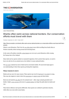 Sharks often swim across national borders. Our conservation efforts must travel with them