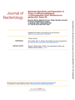 Substrate Specificity and Expression of Three 2,3-Dihydroxybiphenyl 1,2-Dioxygenases from Rhodococcus globerulus Strain P6