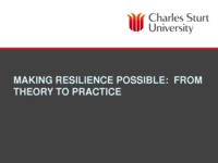 Making Resilience Possible: From Theory to Practice