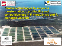 Can DNA Microarray Data be used to support Genetic Selection Programs?