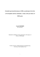 Extended spectrum β-lactamases (ESBLs) producing Escherichia coli in hospitals and the community; a study on the prevalence of ESBL genes