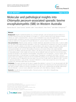 Molecular and pathological insights into Chlamydia pecorum-associated sporadic bovine encephalomyelitis (SBE) in Western Australia