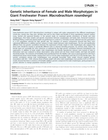 Genetic inheritance of female and male morphotypes in Giant freshwater prawn Macrobrachium rosenbergii