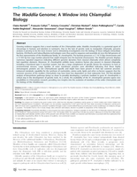 The waddlia genome: A window into chlamydial biology