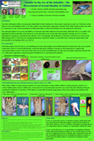 Gender in the eye of the beholder: the discernment of sexual identity in Yabbies