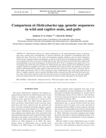 Comparison of Helicobacter spp. genetic sequences in wild and captive seals, and gulls