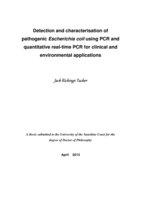 Detection and characterisation of pathogenic Escherichia coli using PCR and quantitative real-time PCR for clinical and environmental applications