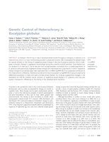 Genetic Control of Heterochrony in Eucalyptus globulus