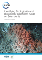 Identifying Ecologically and Biologically Significant Areas on Seamounts. Workshop Report