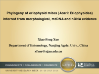 Phylogeny of eriphyoid mites (Acari: Eriophyoidea) inferred from morphological, mtDNA and nDNA evidence