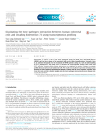Elucidating the host–pathogen interaction between human colorectal cells and invading enterovirus71 using transcriptomics profiling