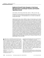 Epidermal growth factor receptor in the prawn Macrobrachium rosenbergii: function and putative signaling cascade