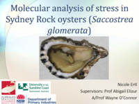 Molecular analysis of stress in Sydney Rock oysters (Saccostrea glomerata)