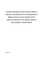 A parallel investigation into the molecular effects of soya bean meal and poultry oil in formulated diets on digestive enzymes in Lates calcarifer and the molecular composition of the digestive system in Lates calcarifer and Seriola lalandi