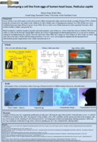 Developing a cell line from eggs of human head louse, Pediculus capitis