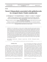 Novel Chlamydiales associated with epitheliocystis in a leopard shark triakis semifasciata