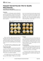 Frequent harvest rounds vital for quality macadamias