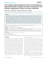 The Complete Mitochondrial Genome of the Booklouse, Liposcelis decolor: Insights into Gene Arrangement and Genome Organization within the Genus Liposcelis