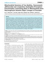 Mitochondrial Genomes of Two Barklice, Psococerastis albimaculata and Longivalvus hyalospilus (Psocoptera: Psocomorpha): Contrasting Rates in Mitochondrial Gene Rearrangement between Major Lineages of Psocodea