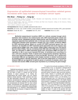 Expression of epithelial-mesenchymal transition-related genes increases with copy number in multiple cancer types