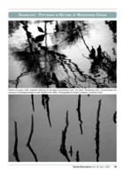 Showcase Gallery - Patterns in Nature, Murdering Creek