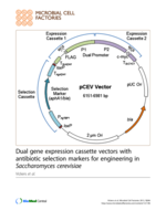 Dual gene expression cassette vectors with antibiotic selection markers for engineering in Saccharomyces cerevisiae