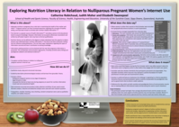 Exploring nutrition literacy in relation to nulliparous pregnant women’s internet use