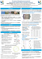 The elusive Chlamydia pecorum plasmid: strain-specific virulence factor or harmless accessory?