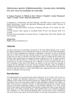 Ophiostoma species (Ophiostomatales, Ascomycota), including two new taxa on eucalypts in Australia