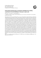 Preferential and biomat flow mechanisms identified from staining experiments in forested hillslopes: from pore to plot-scale