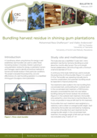 Bundling harvest residue in shining gum plantations. CRC for Forestry Bulletin 15, February 2011