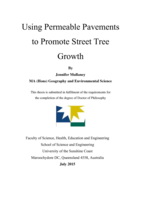 Using permeable pavements to promote street tree growth