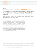 Type II spiral ganglion afferent neurons drive medial olivocochlear reflex suppression of the cochlear amplifier