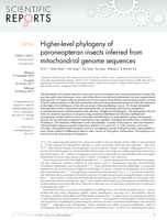 Higher-level phylogeny of paraneopteran insects inferred from mitochondrial genome sequences